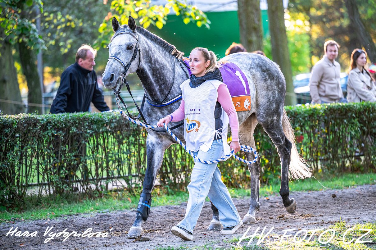 DSC_2708 kopie.jpg
